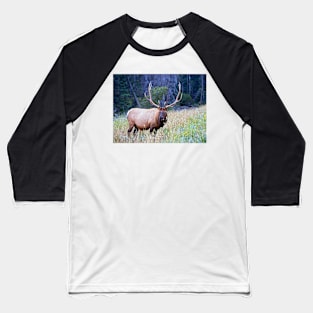 Bull Elk Baseball T-Shirt